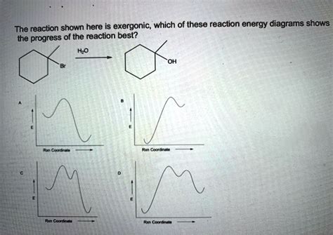 Solved The Reaction Shown Here Is Exergonic Which Of These Reaction Energy Diagrams Shows The