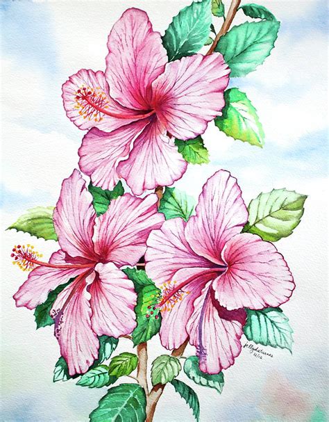 Pink Hibiscus Painting By Jelly Starnes Fine Art America