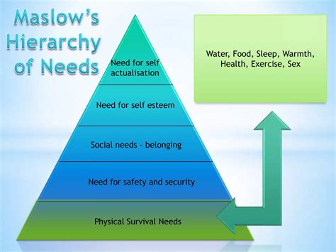 Maslow's hierarchy | PPTX