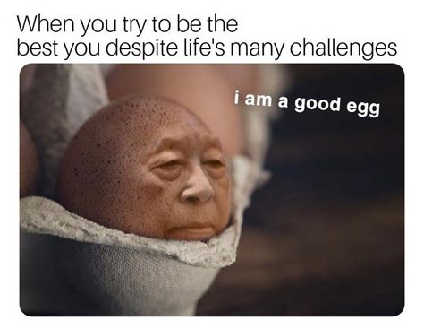 I Present To You The Wholesome Good Egg Meme Egg Meme Memes