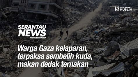 Warga Gaza Kelaparan Terpaksa Sembelih Kuda Makan Dedak Ternakan