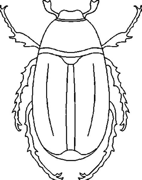 Stag Beetle Species Coloring Pages | Best Place to Color