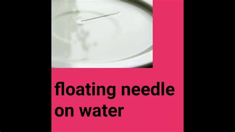 How To Float A Needle On Water By Varads Experiment Youtube