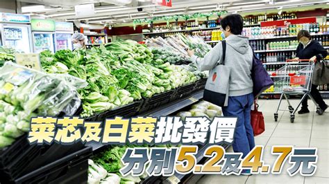 10日內地供港蔬菜2500公噸 鮮活食品供應充足穩定 香港商報