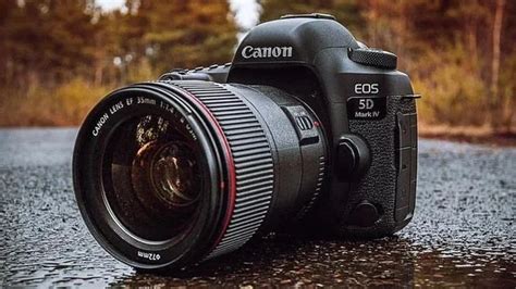 Top Best Beginner Dslr Cameras You Should Consider In