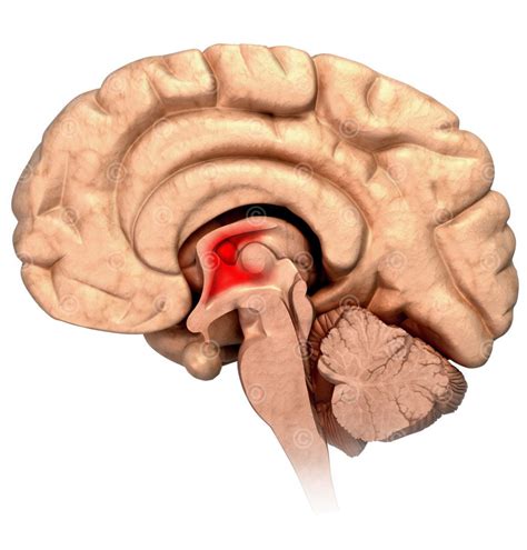 Illustrationen Wirkweise Ibuprofen Medicalgraphics