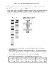 Lab 7 Mol App II Make Up Docx BIOL 1107L Lab 7 Molecular