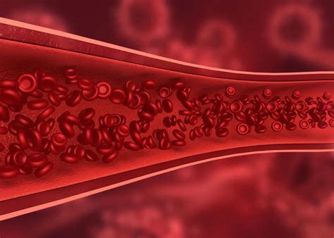 How to increase hemoglobin - Witapedia