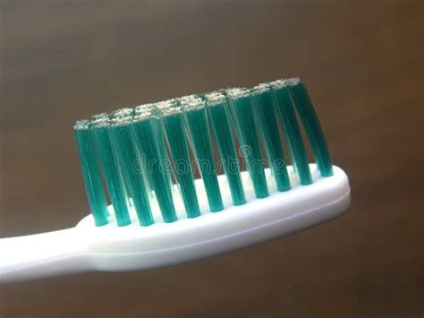 Close Up Of Toothbrush With Blue Bristles Stock Image Image Of