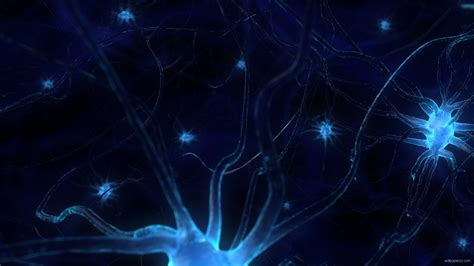 Brain Cells Wallpapers Top Free Brain Cells Backgrounds Wallpaperaccess