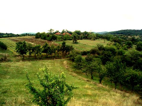 Lukić