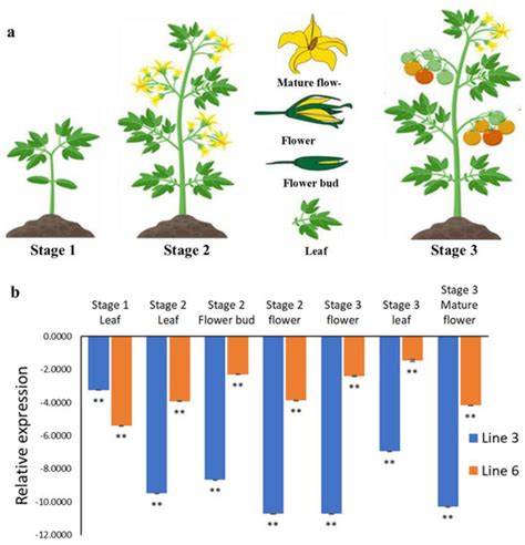 Ijms Free Full Text Genome Wide Identification Of The Aconitase