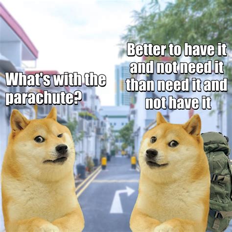 Planning Ahead Rdogelore Ironic Doge Memes Know Your Meme