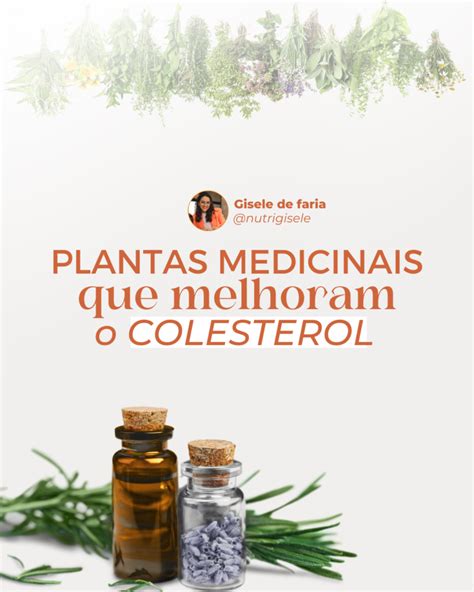 Baixe o seu colesterol de forma natural Gisele de Faria Nutrição