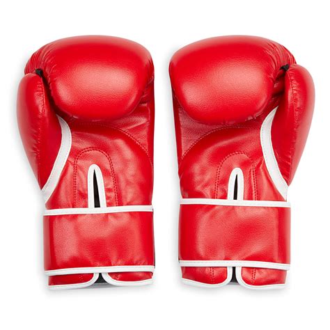 FILA Boxing Gloves (12oz) - SPRI