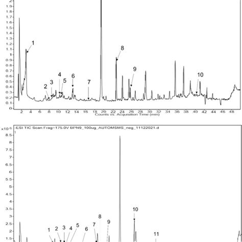 Extracellular Secondary Metabolites Detected In Nee By Uhplcqtof Ms