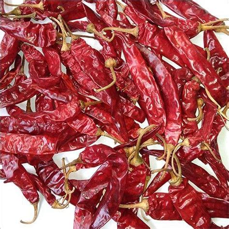 Dry Red Chilli In Guntur Andhra Pradesh Dry Red Chilli Dry Red