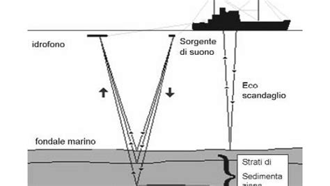 Sardegna Stop Alla Ricerca Di Petrolio Con La Tecnica Dell Air Gun