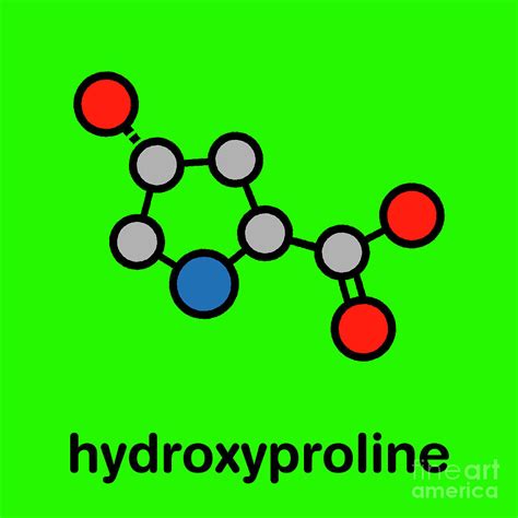 Hydroxyproline Amino Acid Photograph By Molekuul Science Photo Library