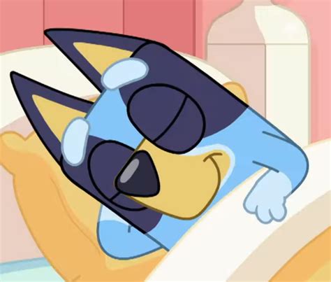 Screenshot Bluey Sleeping S01e32 V2 By Shiyamasaleem On Deviantart