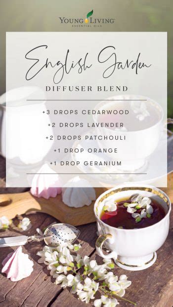 Party Diffuser Blends for Every Celebration | Young Living Blog