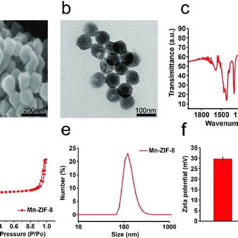 Physicochemical Property Characterization Of Mn Zif 8 Nanoparticles Download Scientific