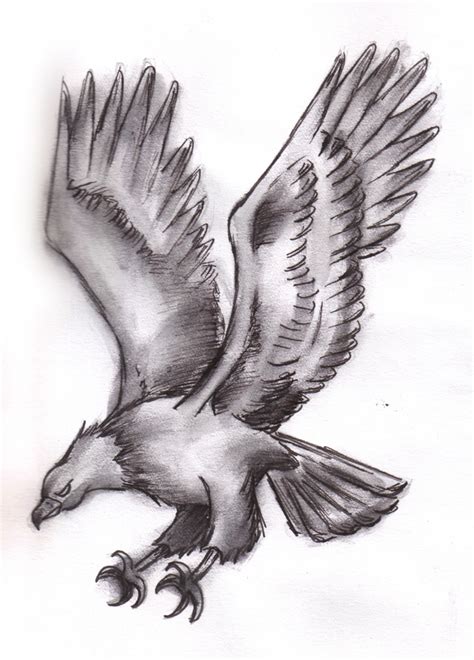 Flying Eagle by Kikisaur on DeviantArt