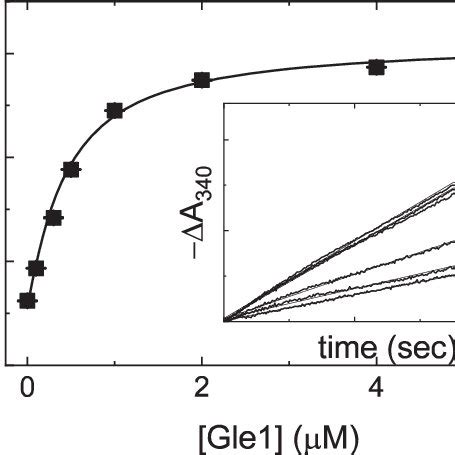 Gle Stimulated Steady State Atpase Activity Of Dbp Gle Dependance