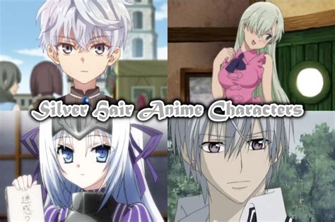 List Of Coolest Silver Hair Anime Characters Male Female