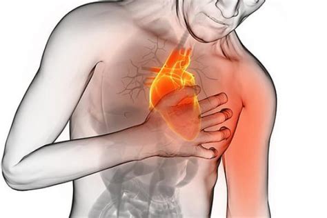 Malattie Cardiache Negli Uomini Rischi Sintomi E Prevenzione