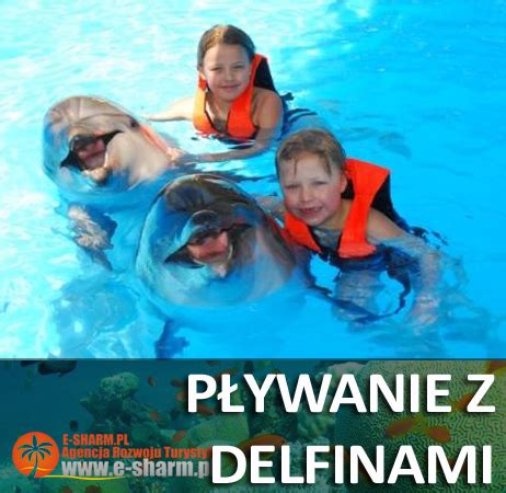 Pływanie z delfinami Sharm el Sheikh Tanie Wycieczki SHARM EL SHEIKH