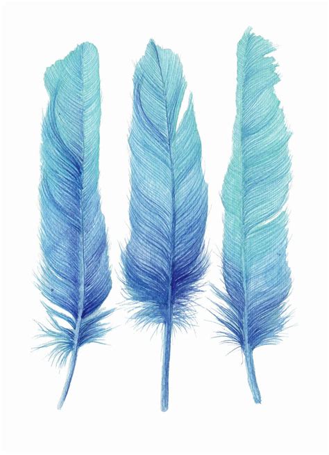 Three Turquoise Feathers Limited Edition Watercolour Art Print Etsy