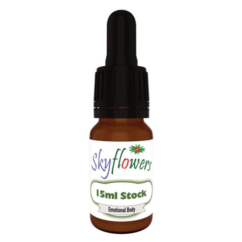 Amazonian Zebra Plant ( Encouragement ) - Skyflowers