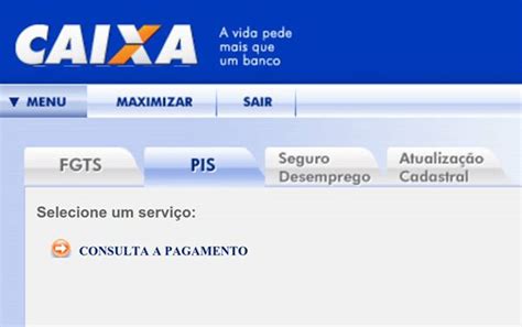 Consultar O Saldo Do PIS Pela Internet