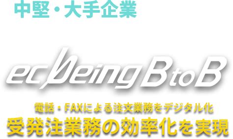 BtoB ECサイト WEB受注 の構築なら業界実績No 1のecbeing