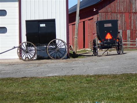 New York State Of Mind Amish And Old Order Mennonite Buggies