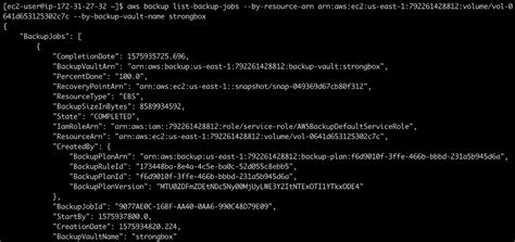 Aws Backup Part 2 Backing Up And Restoring Resources N2ws