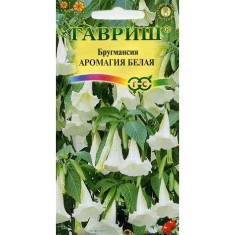 Семена бругмансии купить почтой — сорт «Аромагия Белая»