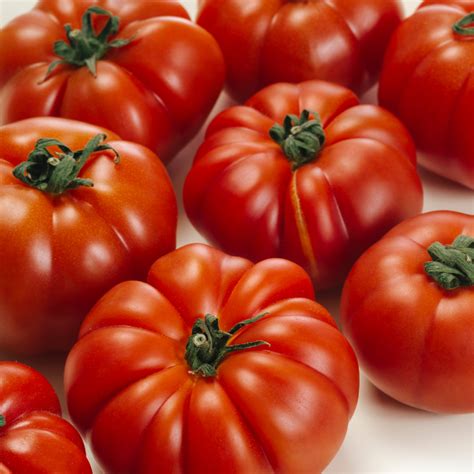 Marmande Beefsteak Tomato Seeds Ireland Organic Vegetable Seed