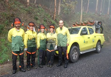 Sapadores Florestais Encontram Se A Executar Trabalhos De Limpeza E