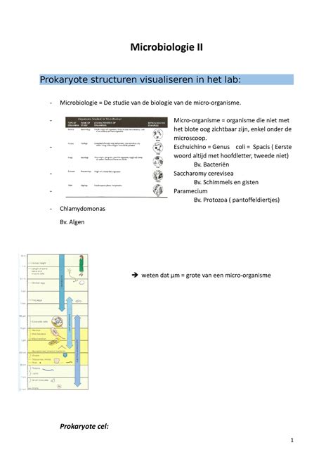 Samenvatting Microbiologie Microbiologie II Prokaryote Structuren