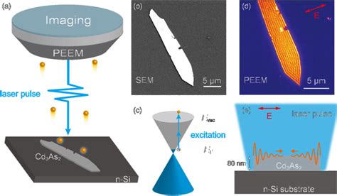 Observation Of Cd As Optical Qcw A Schematic Of The Peem