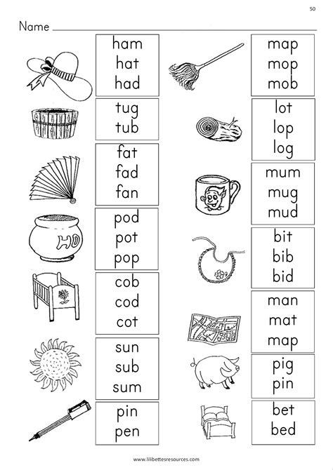 Cvc Words Worksheets Worksheet24