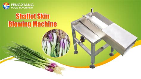 Shallot Skin Removing Peeling Machine YouTube