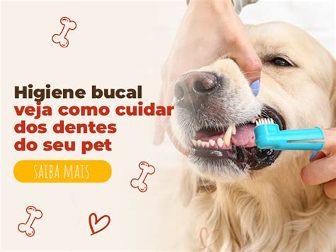 Higiene Bucal Veja Como Cuidar Dos Dentes Do Seu Pet Pet 10