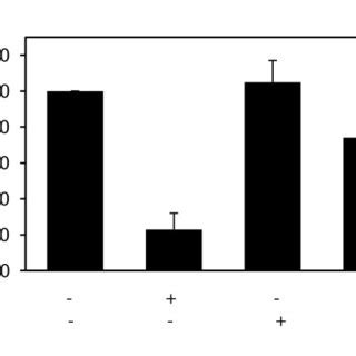 IL 1 mediated downregulation of PPARγ mRNA expression requires de novo