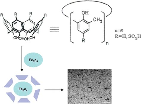 Difference In The Bonding Scheme Of Calix6arene And P Sulfonic Calix