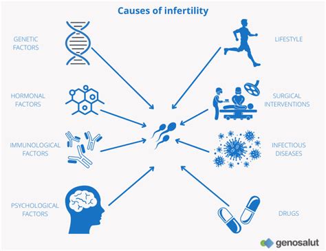 Infertility What It Is Causes And Genetic Factors Genosalut