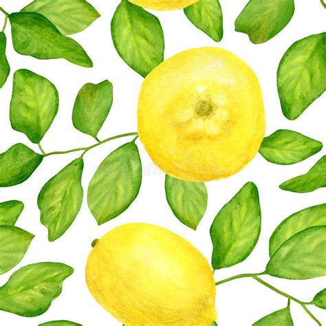 Watercolor Lemon With Leaves Seamless Pattern Hand Drawn Botanical Illustration Of Yellow