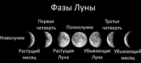 Какая фаза Луны сегодня для стрижки волос